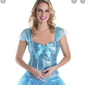 Blue/Silver Bustier/Corset Cinderella Costume top